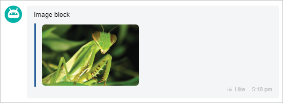 IMAGE Block